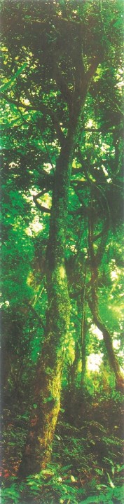 01.jpg