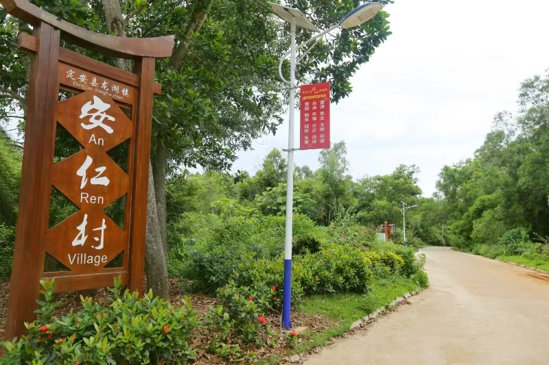 定安县龙湖镇安仁村：文明沃土育新风  产业发展谱新篇 