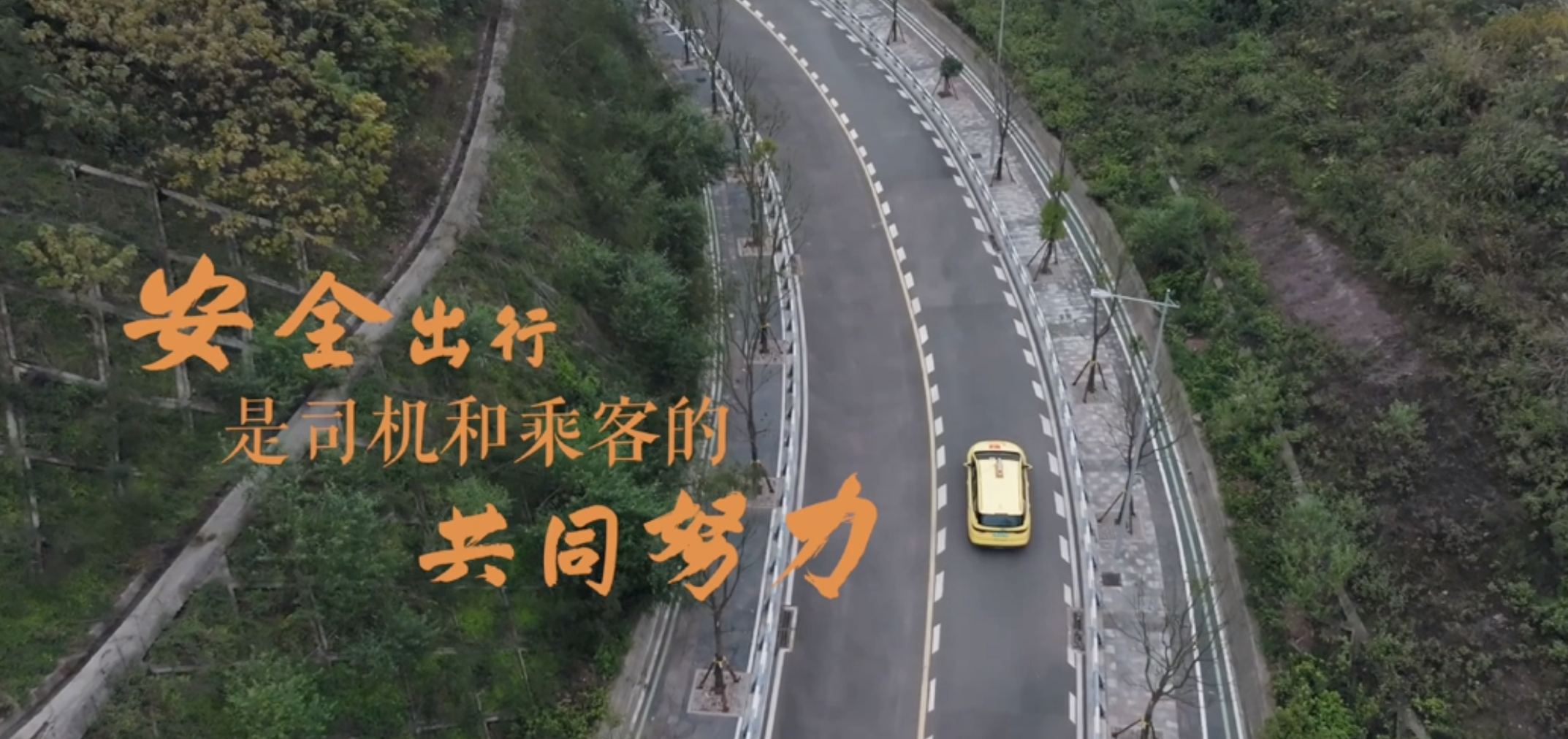 文明健康科普｜安全出行是乘客到司机的共同努力